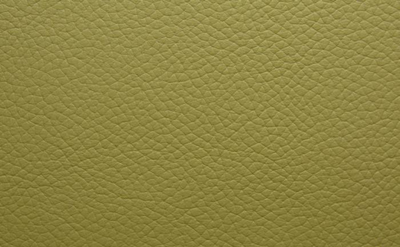Shelly Leather - Field Green